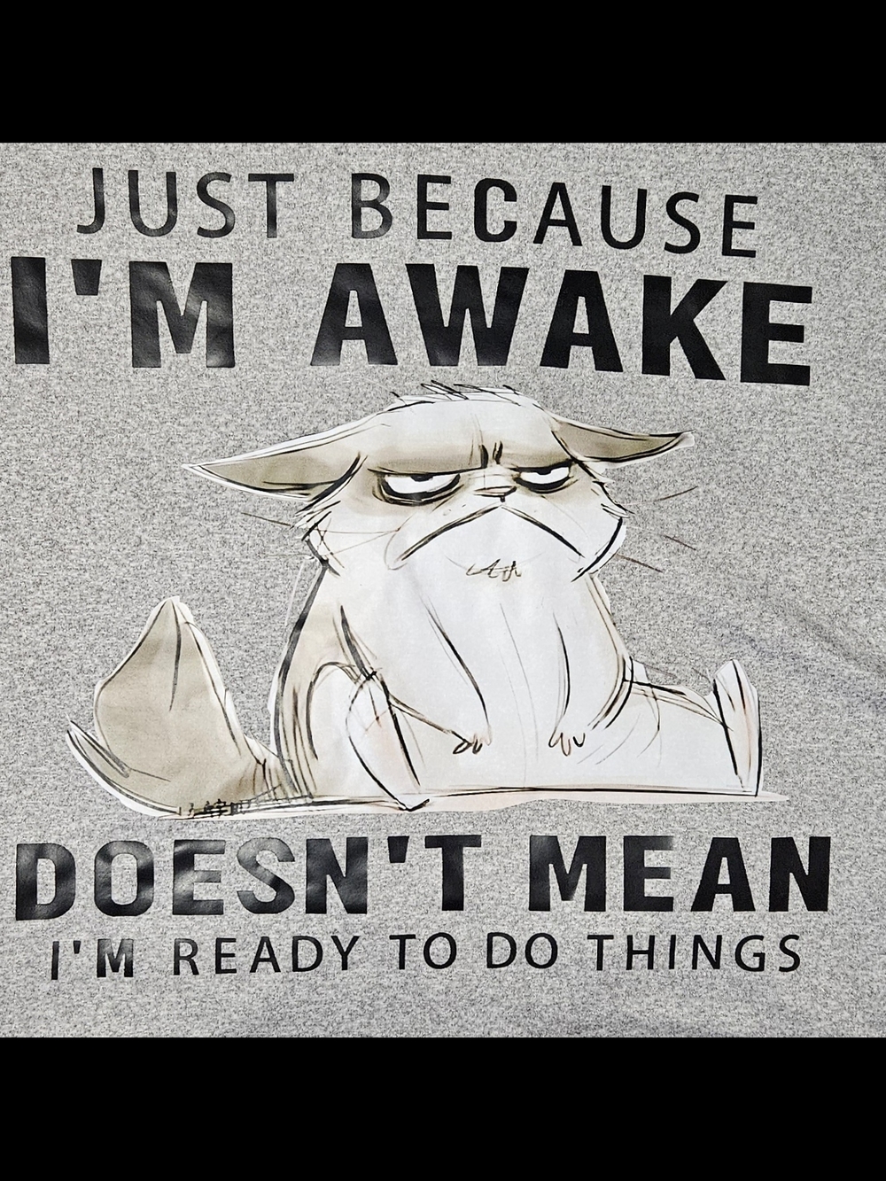 Women's Funny Long Sleep T-Shirt